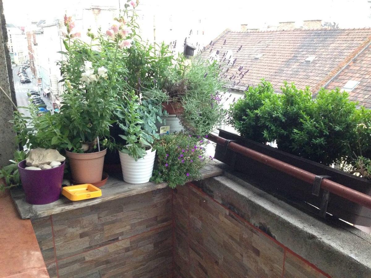 Lonyay Street Apartment Βουδαπέστη Εξωτερικό φωτογραφία